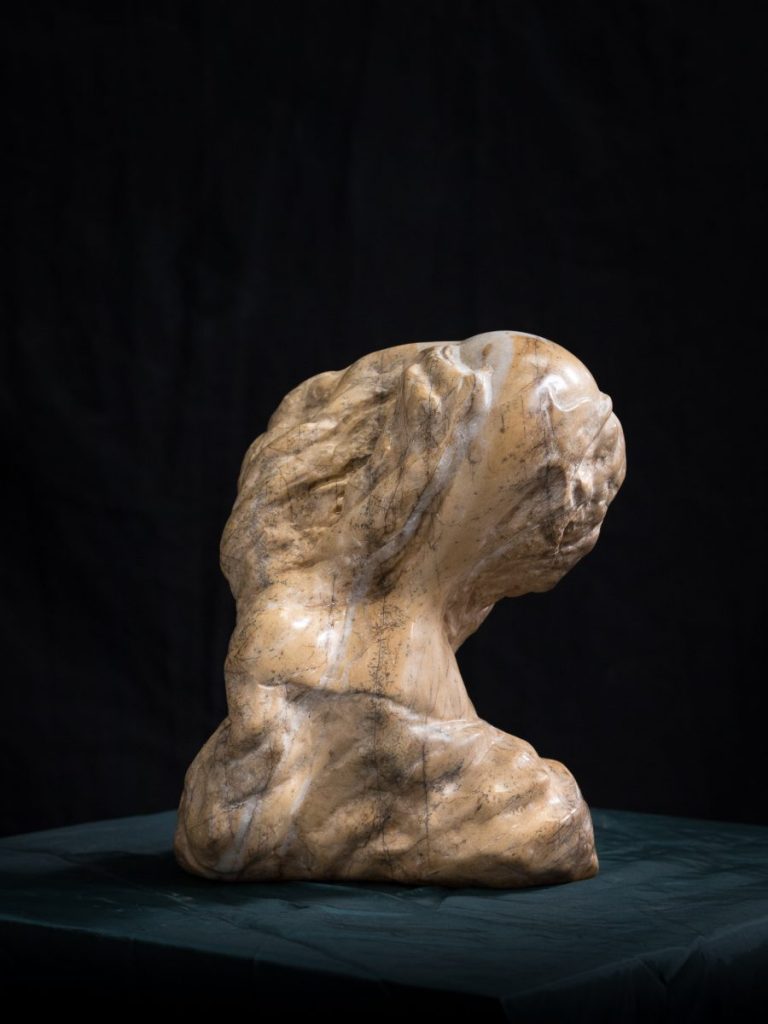 Fusion, Sirena Amarilla