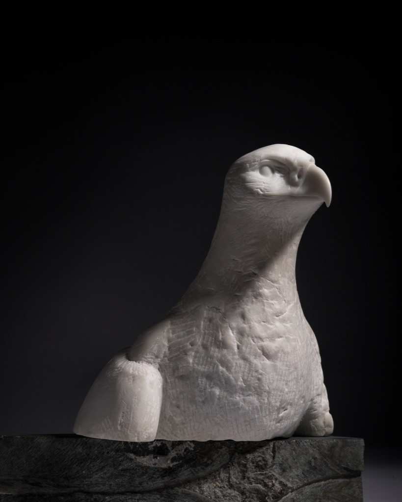 Aguila