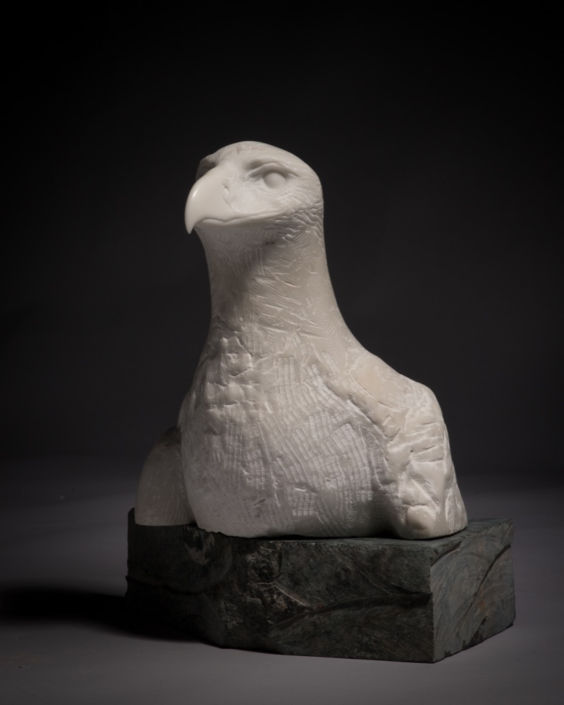 Aguila