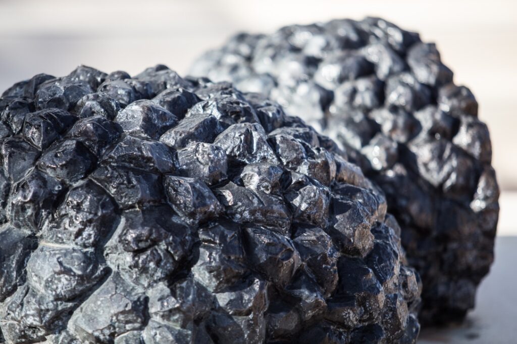 Tuber Aestivum