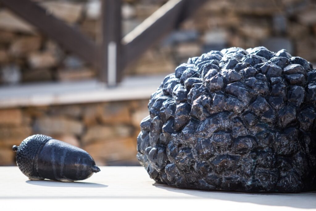 Tuber Aestivum