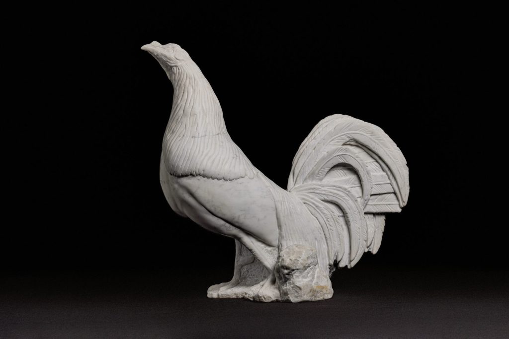 Gallo combatiente andaluz