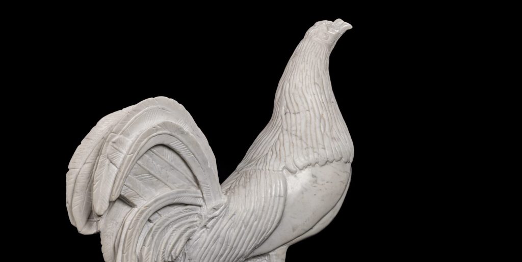 Gallo combatiente andaluz