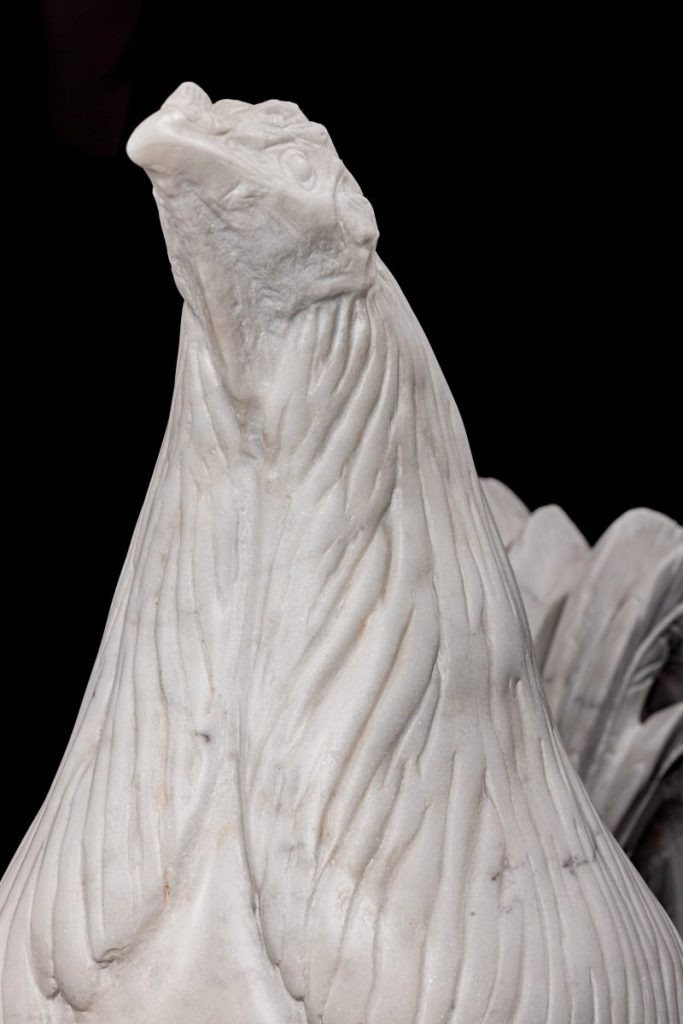 Gallo combatiente andaluz