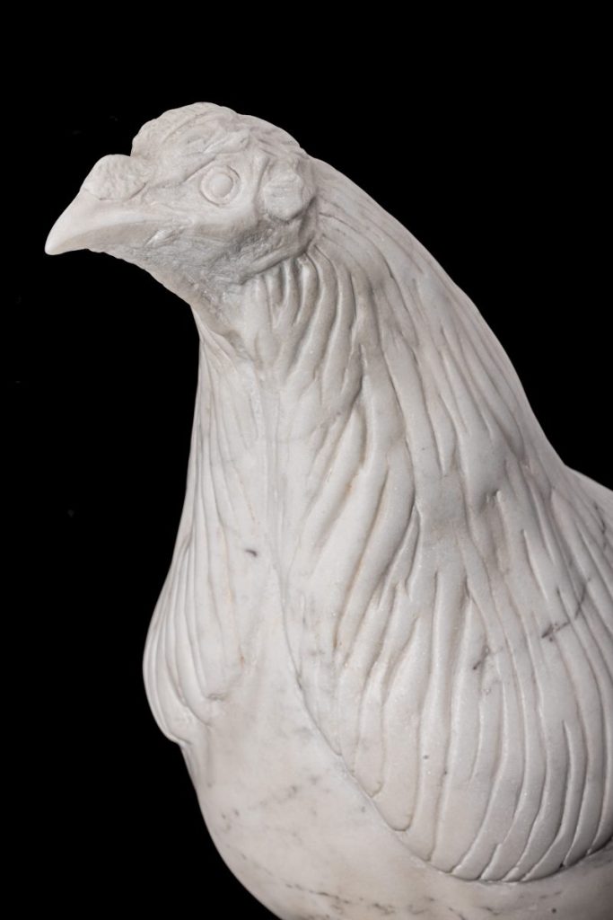 Gallo combatiente andaluz