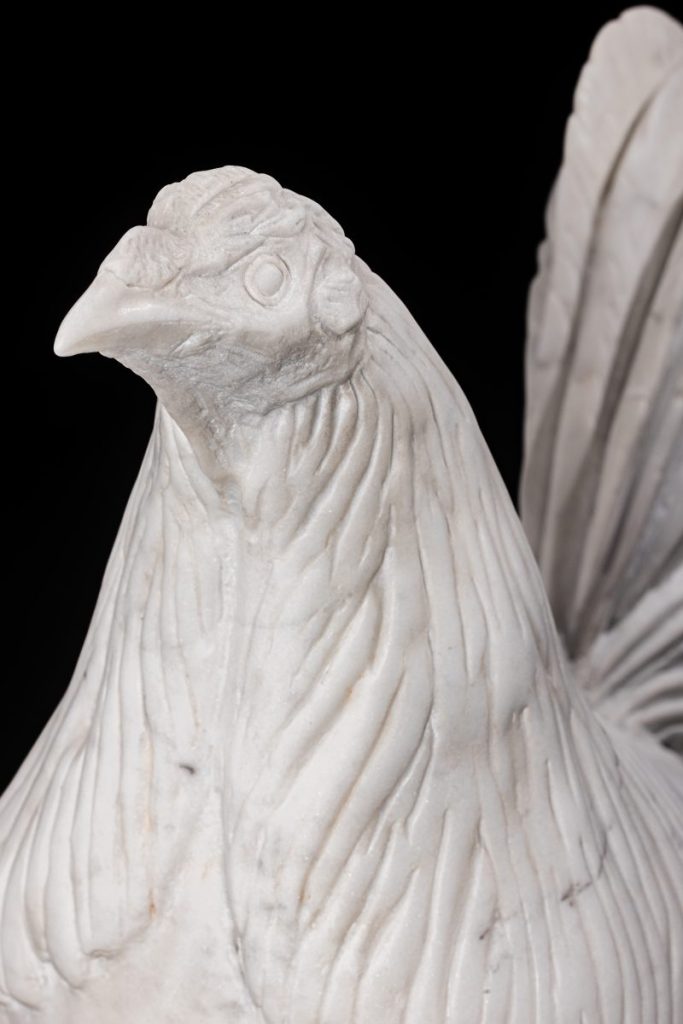 Gallo combatiente andaluz