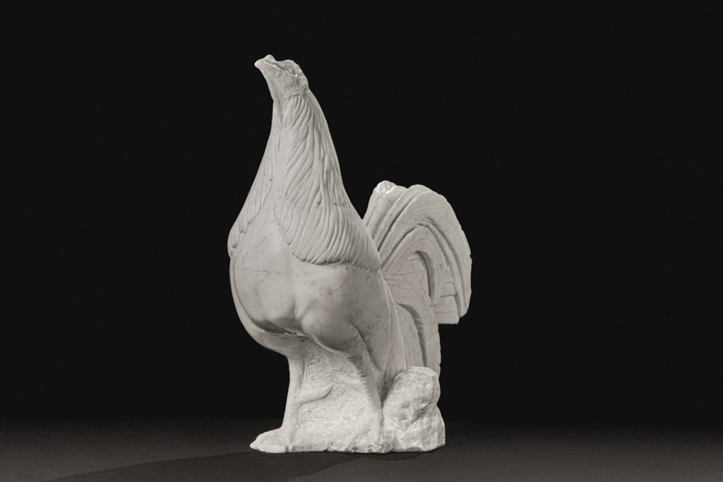 Gallo combatiente andaluz