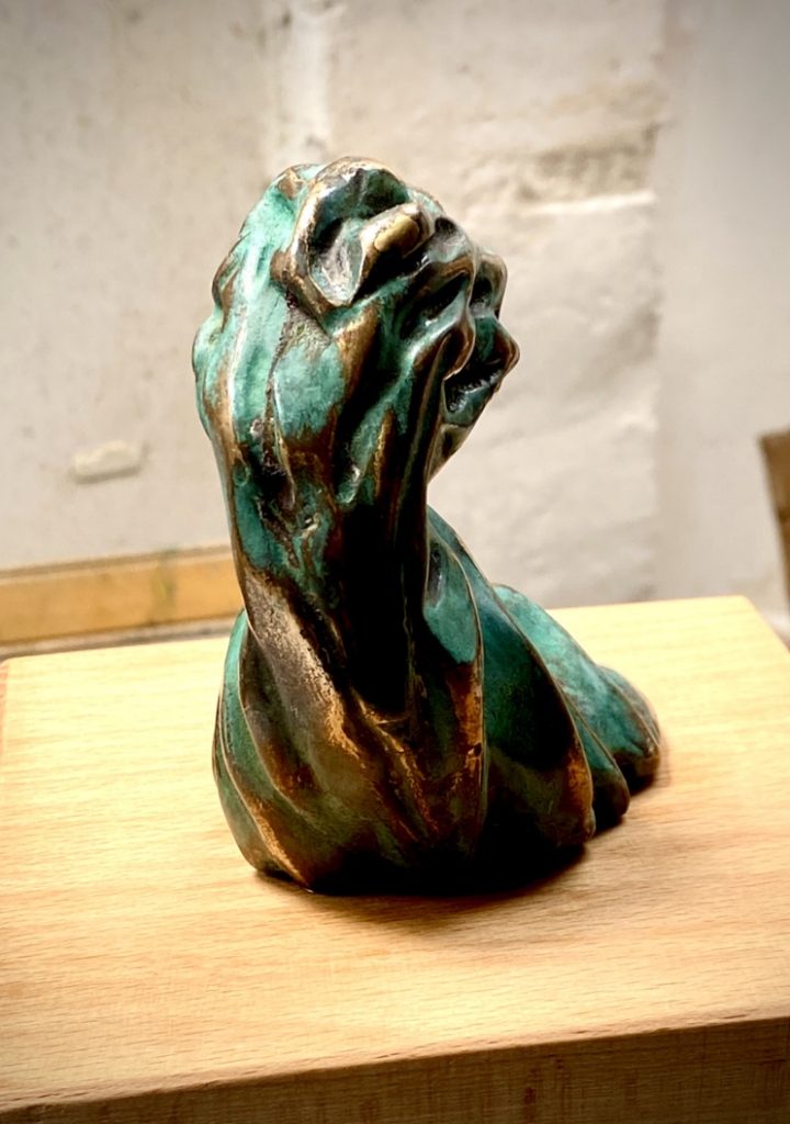 Ola Anémona-Puño de bronce