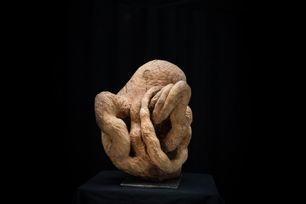 Pulpo