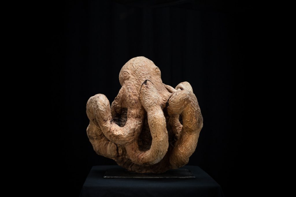 Pulpo