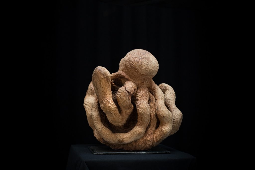 Pulpo
