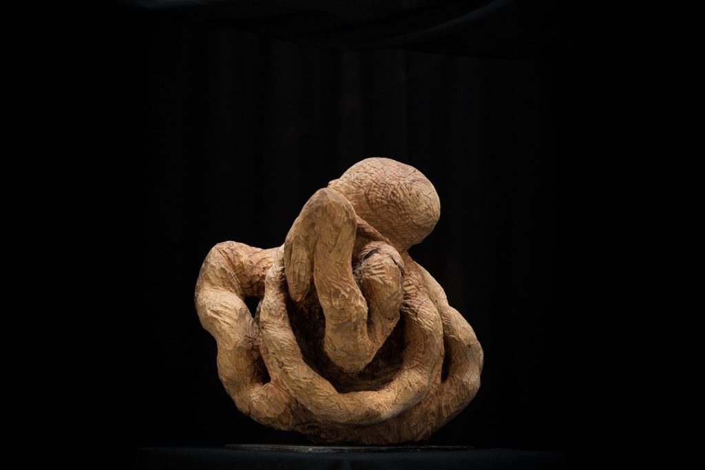 Pulpo