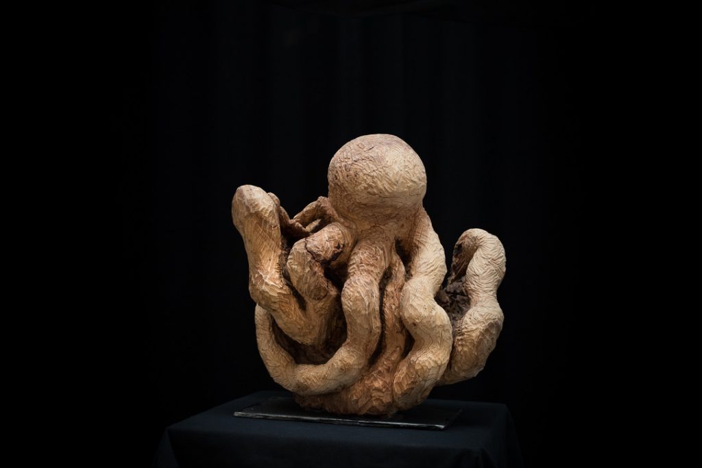 Pulpo