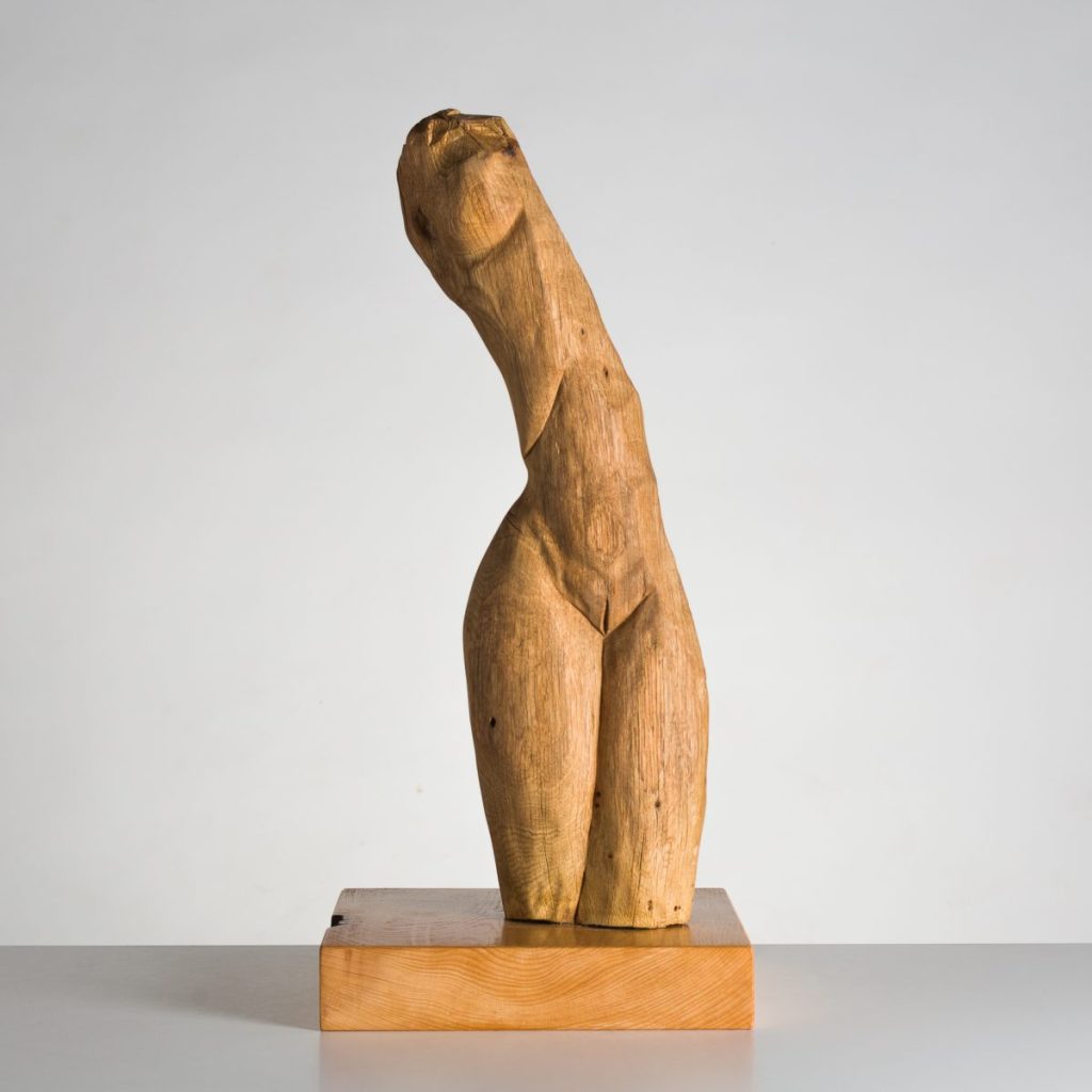 Torso Mujer