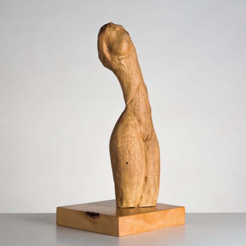 Torso Mujer