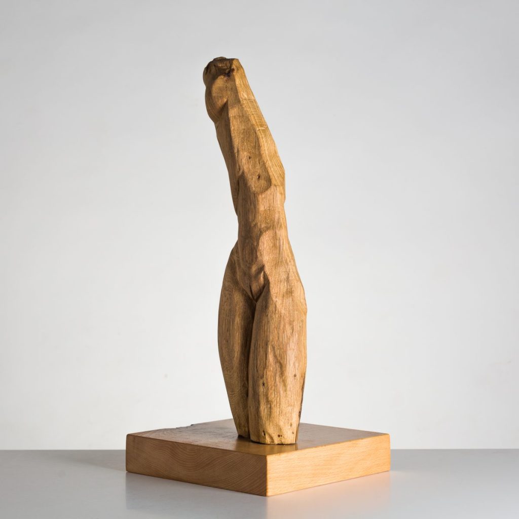 Torso Mujer