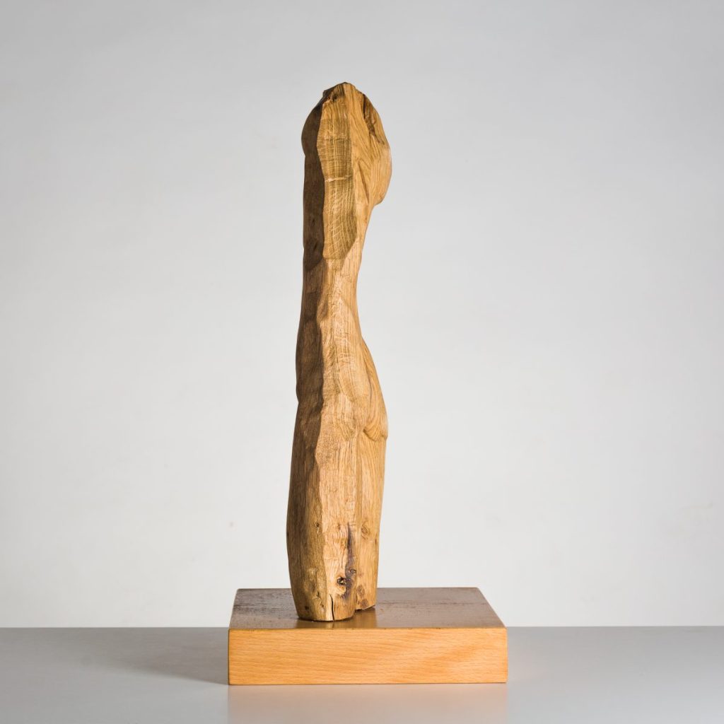 Torso Mujer