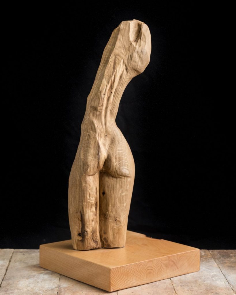 Torso Mujer