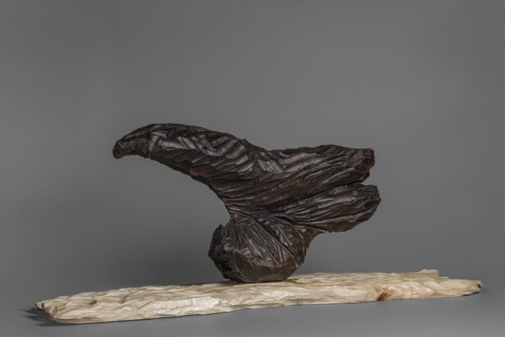 El Vuelo del Cuervo