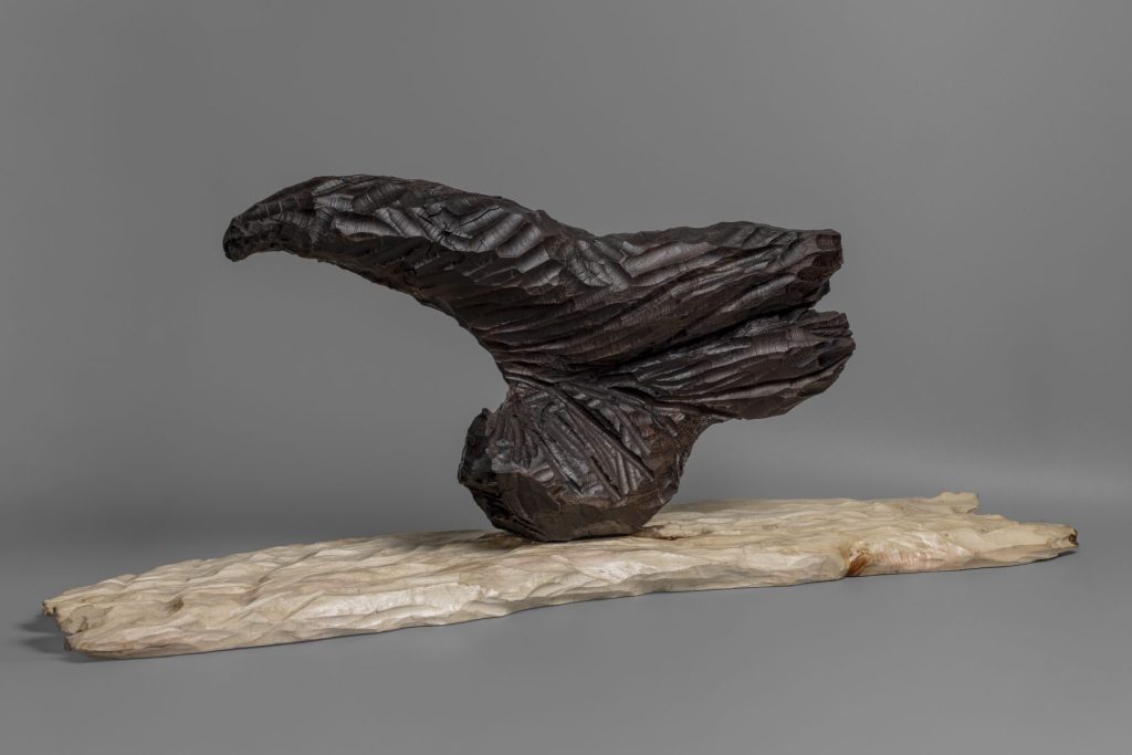 El Vuelo del Cuervo